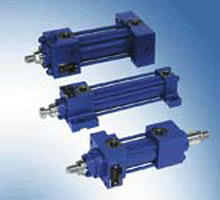 �������͸�